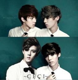 勋鹿贴吧爆料最新消息,最新动态揭秘，粉丝热议不断！